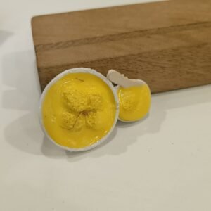 Rasmalai Magnet