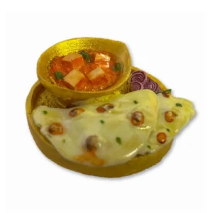 Shahi Paneer Magnet