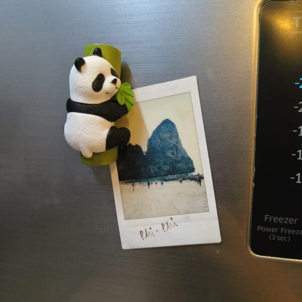 Cute Panda Magnets (Set of 8) - Image 6